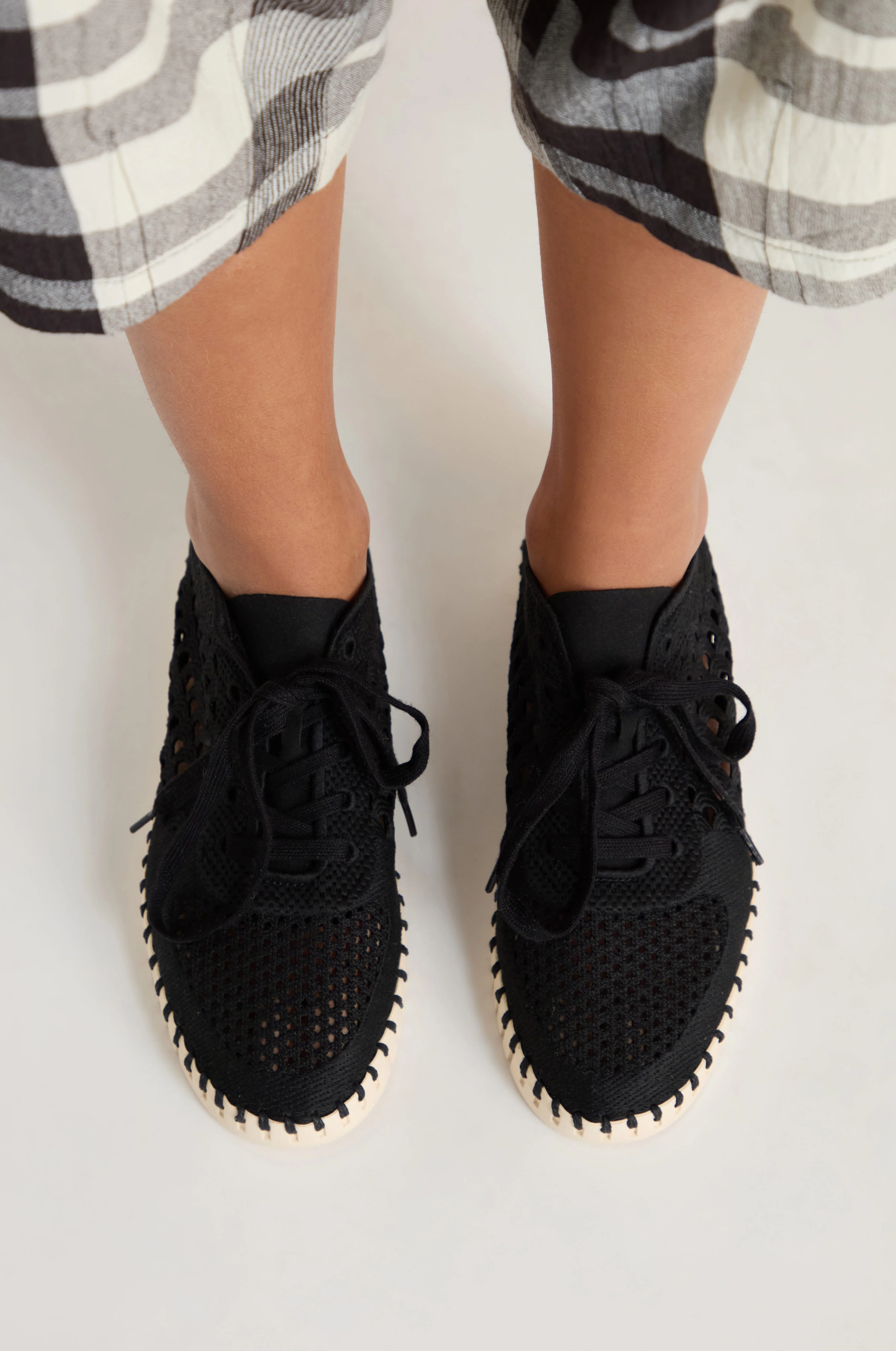 Tulip Embroidered Lace Up Trainers - Image 3